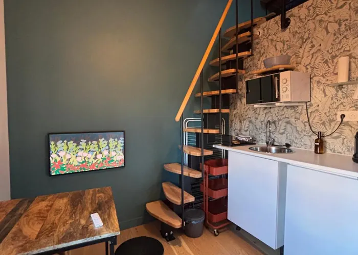 Apartament Halle Au Grains Tuluza